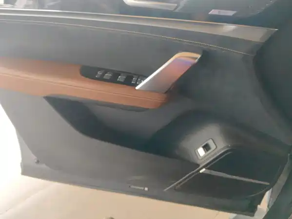 BYD Tang New Energy 2022