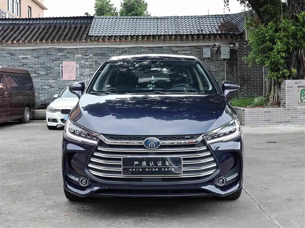 BYD MAX New Energy 2019