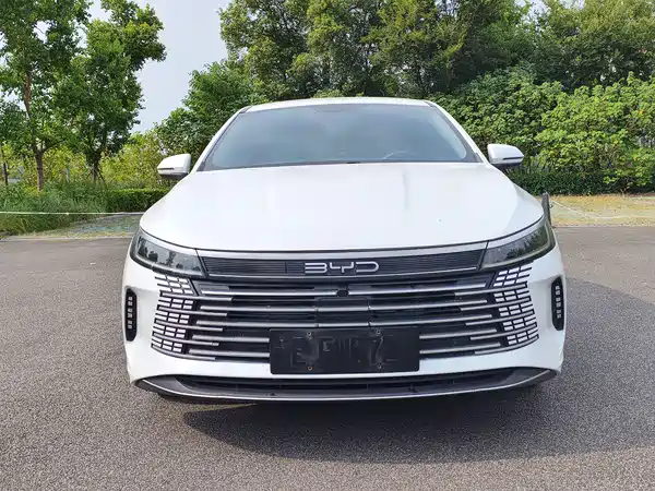 BYD Destroyer 05 2024