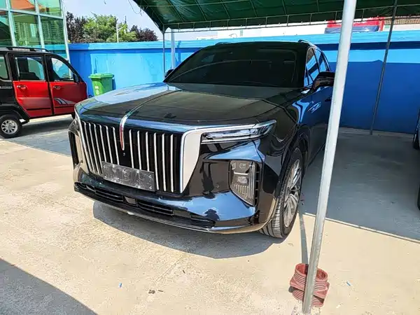 Hongqi E-HS9 2023