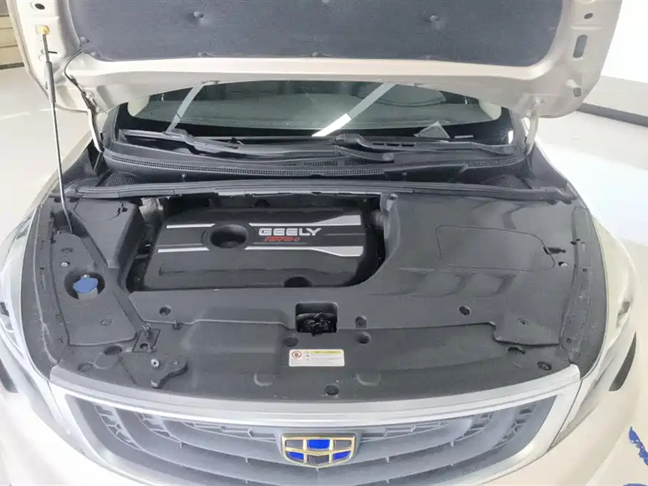 Geely Emgrand GS 2019 — фото 10