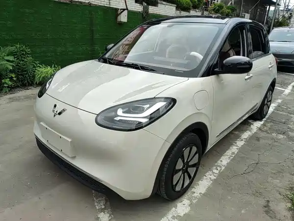 Wuling Bingo 2024