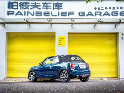 MINI MINI 2021