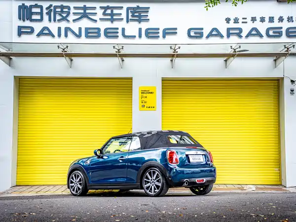 MINI 2021