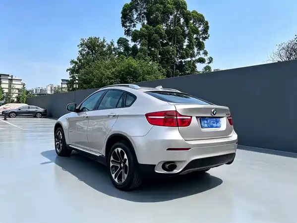 BMW X6 2010
