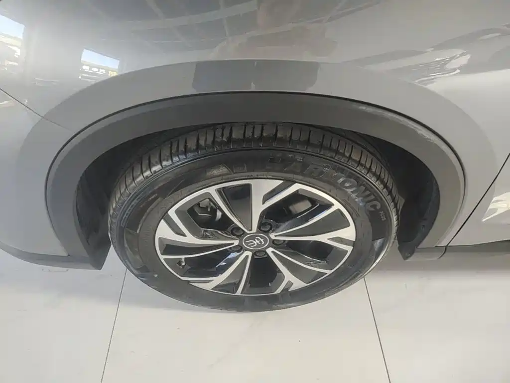 BYD Pro New Energy 2024 — фото 23