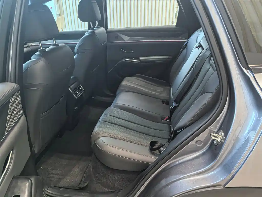 BYD Song Pro New Energy 2025 — фото 11