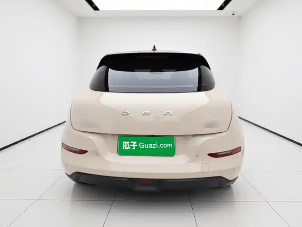 Ora Good Cat 2023
