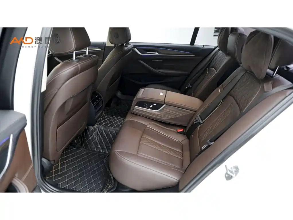 BMW 5 Series New Energy 2019