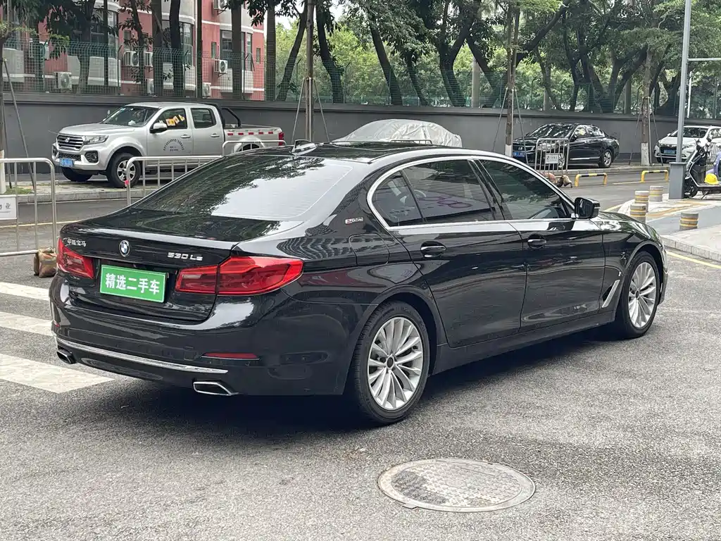 BMW 5 Series New Energy 2019