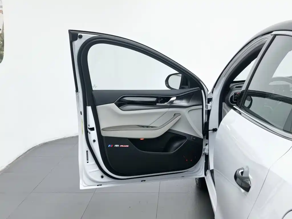 BYD Qin PLUS 2023 — фото 8