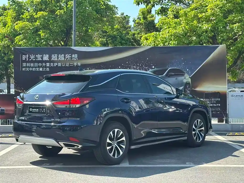 Lexus RX 2020 — фото 13