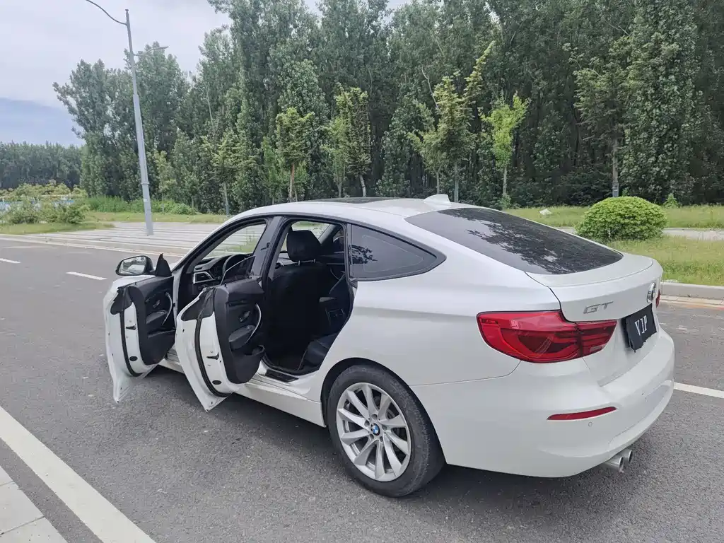 BMW 3 Series GT 2019 — фото 12
