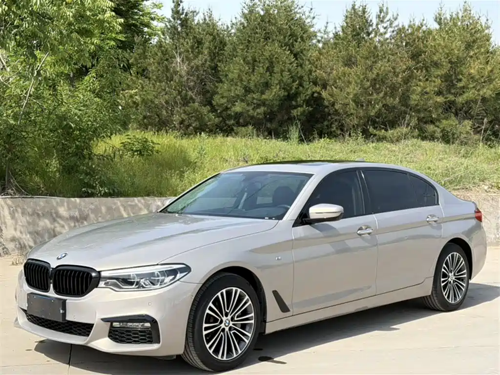 BMW 5 Series 2018 — фото 2