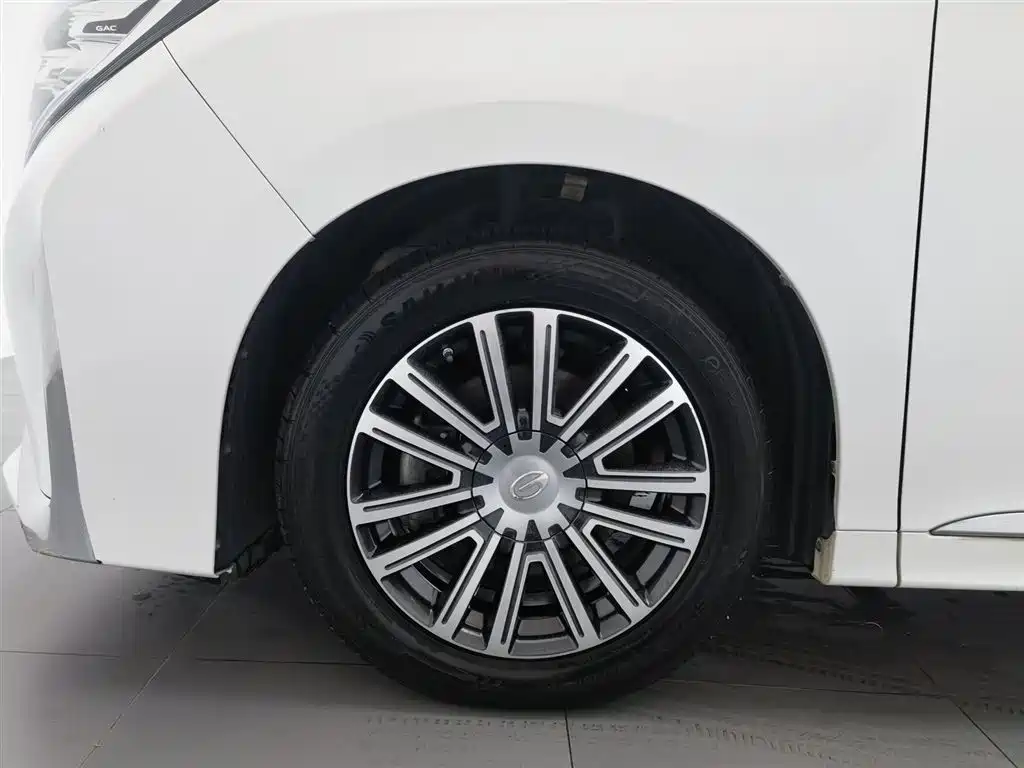 GAC Motor Trumpchi M8 2021 — фото 17