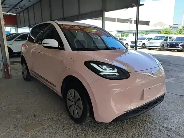 Wuling Bingo 2024