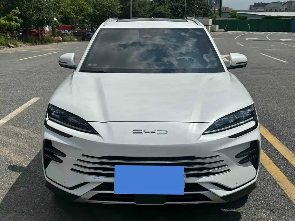 BYD PLUS New Energy 2024 — фото 2