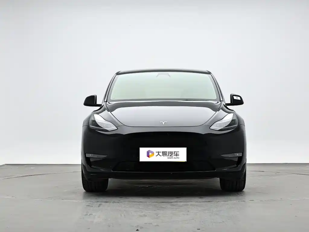 Tesla Model Y 2021 — фото 2