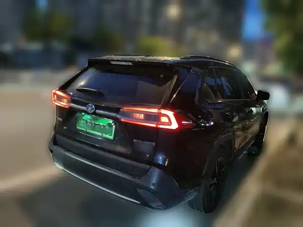 Toyota Weilanda New Energy 2022