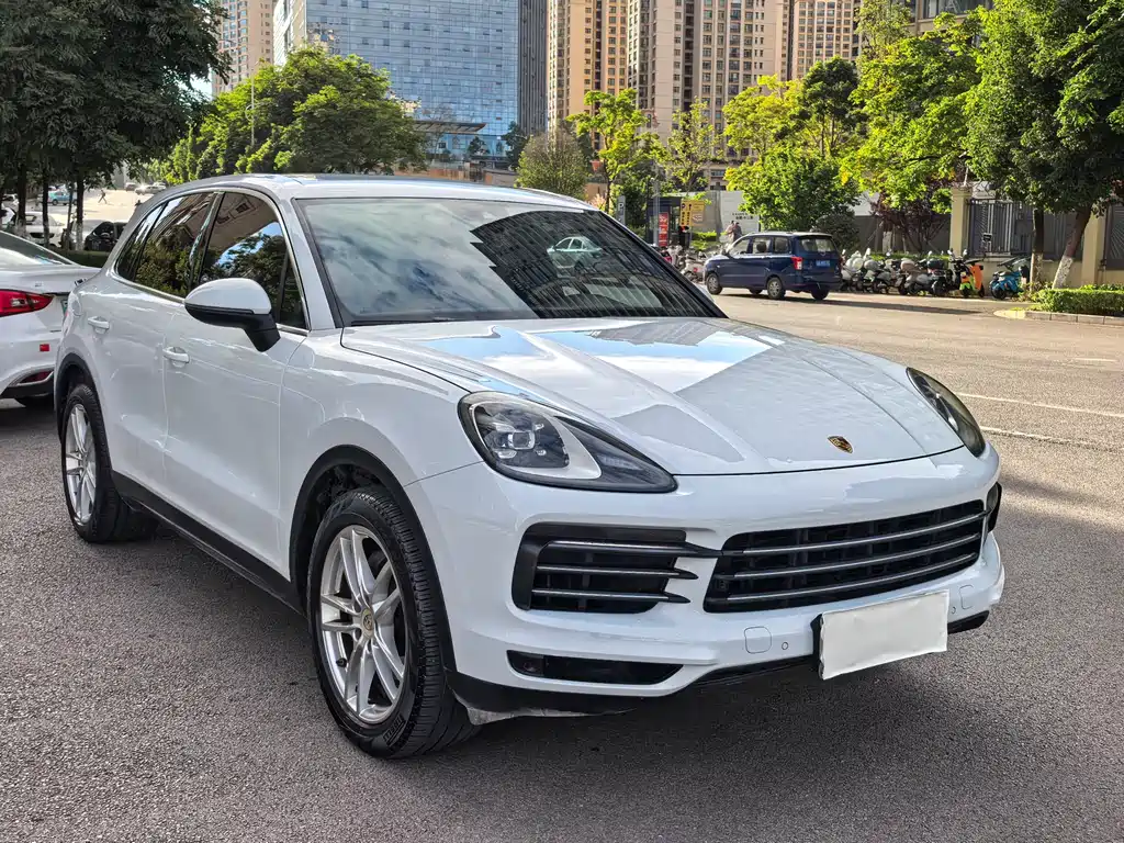Porsche Cayenne 2020 — фото 17