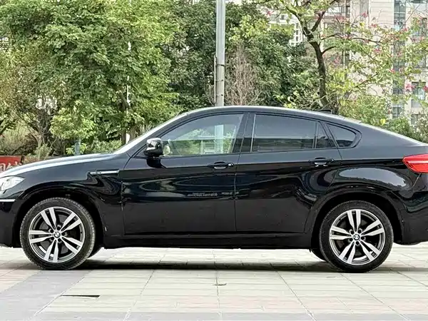 BMW X6 M 2010