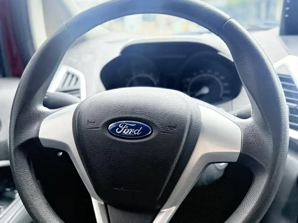 Ford Ecosport 2013 — фото 13
