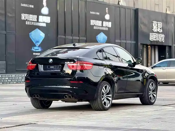 BMW X6 M 2010