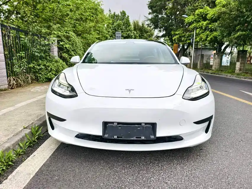 Tesla Model 3 2020 — фото 2