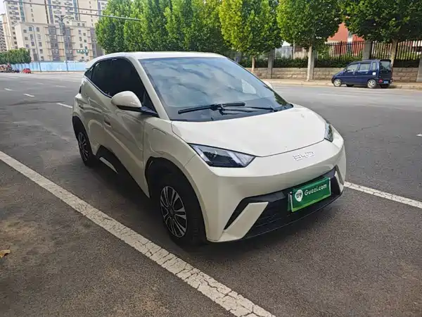 BYD Seagull 2025