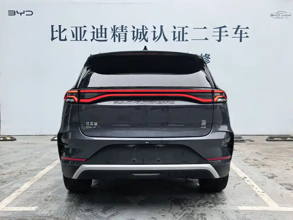 BYD Tang New Energy 2022 — фото 4