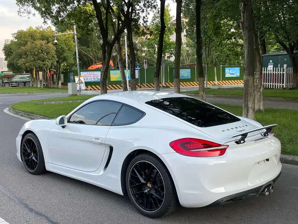 Porsche Cayman 2015 — фото 22
