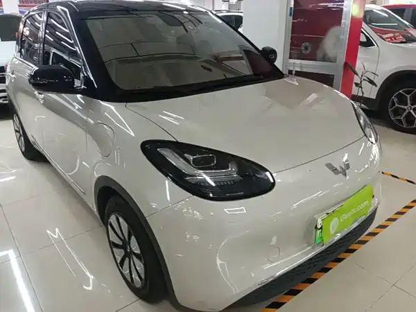 Wuling Bingo 2024