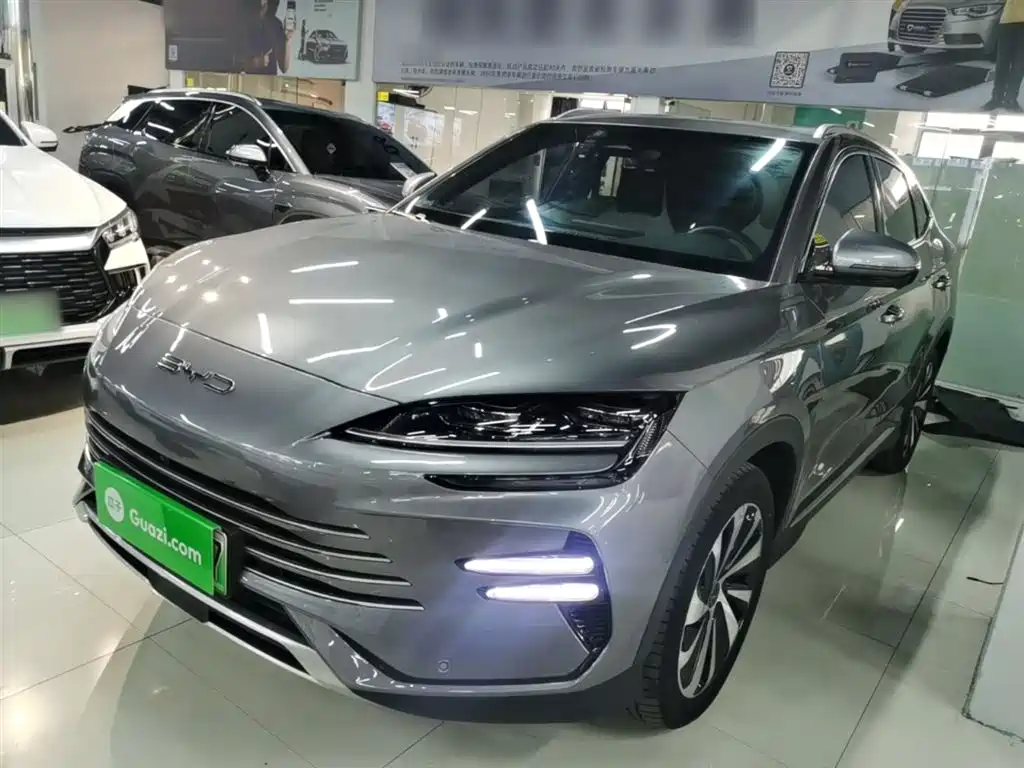 BYD PLUS New Energy 2024 — фото 2
