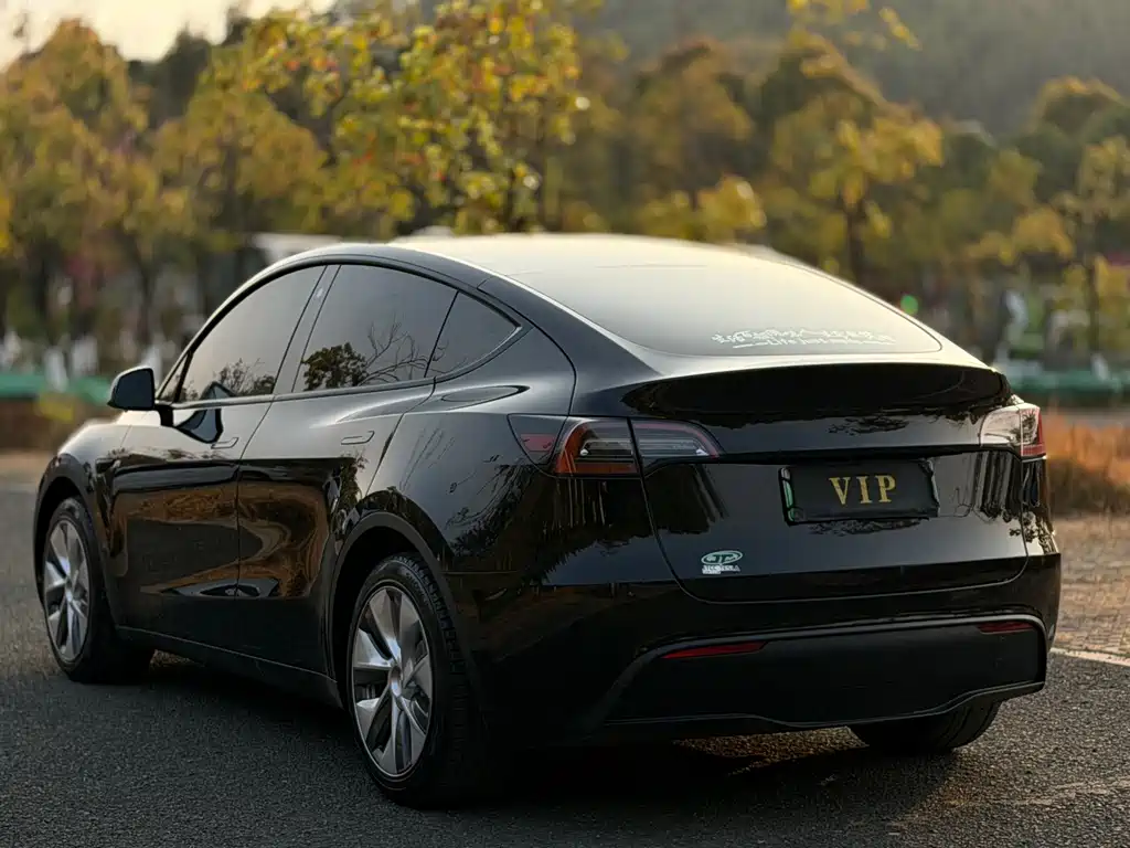Tesla Model Y 2023 — фото 9