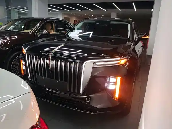 Hongqi E-HS9 2023