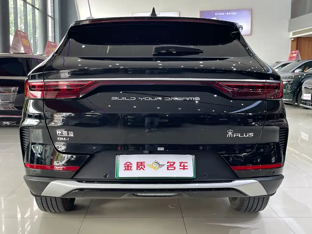 BYD PLUS New Energy 2023 — фото 5