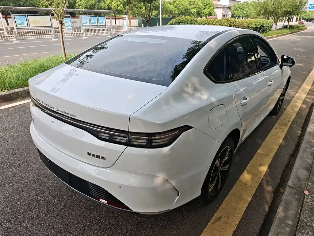 BYD Destroyer 05 2024 — фото 4