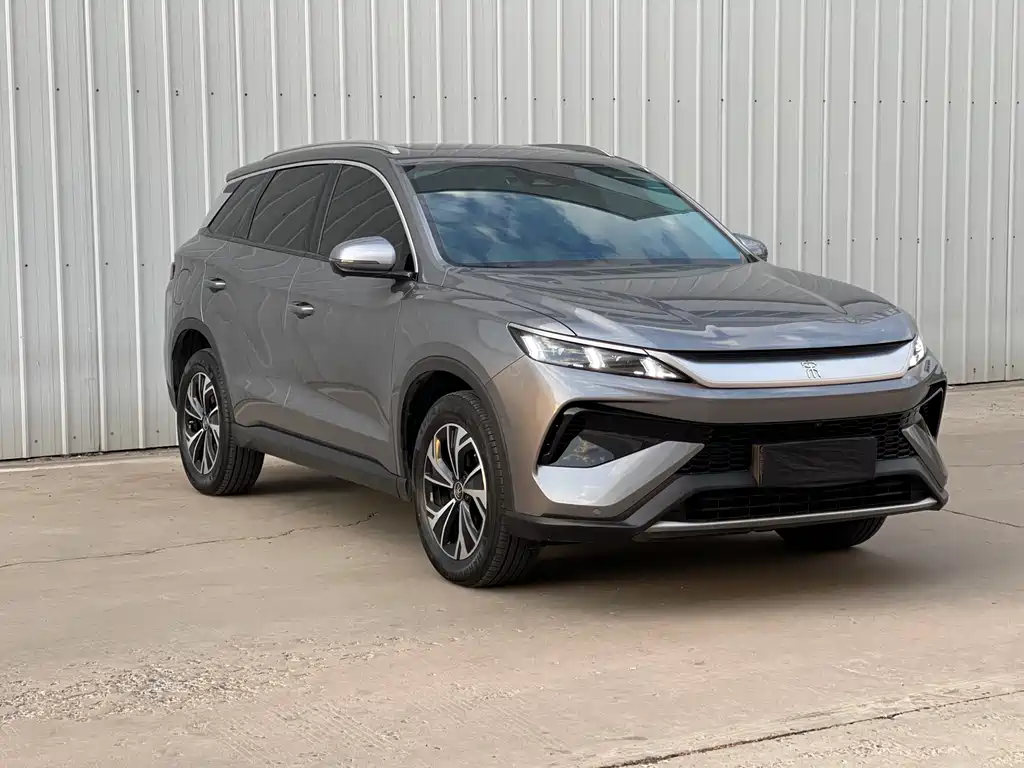 BYD Pro New Energy 2025 — фото 3