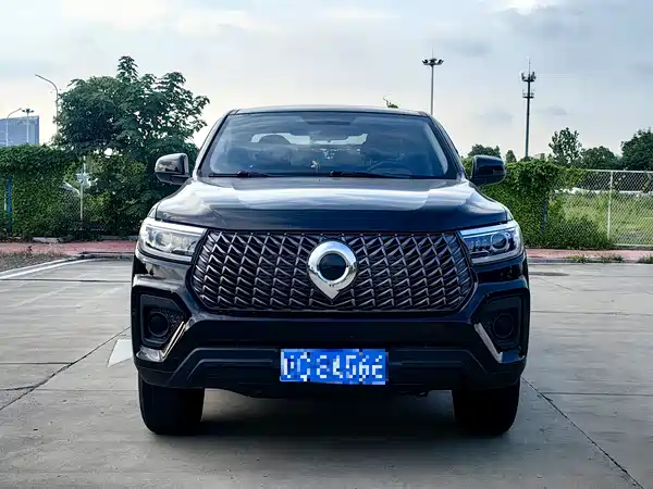 Great Wall Poer 2024