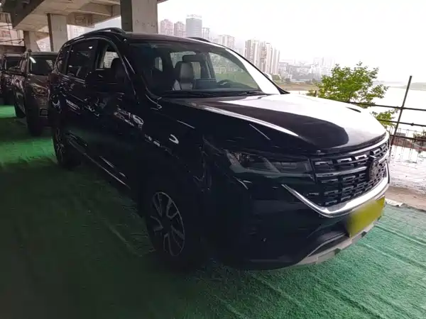Dongfeng Fengxing T5 2023