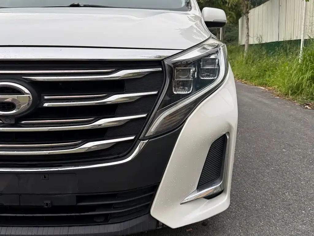 GAC Motor Trumpchi M8 2020 — фото 10