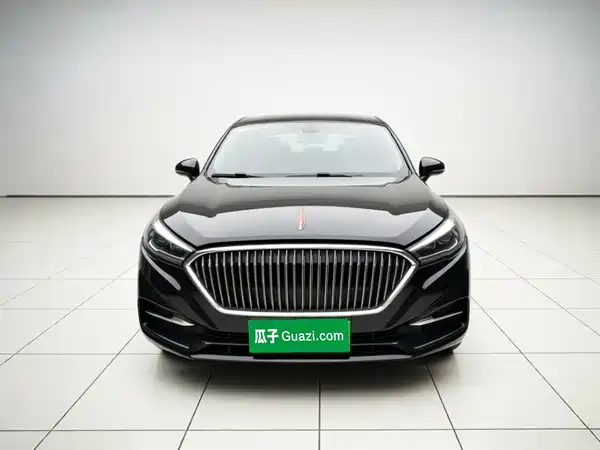 Hongqi H5 2020
