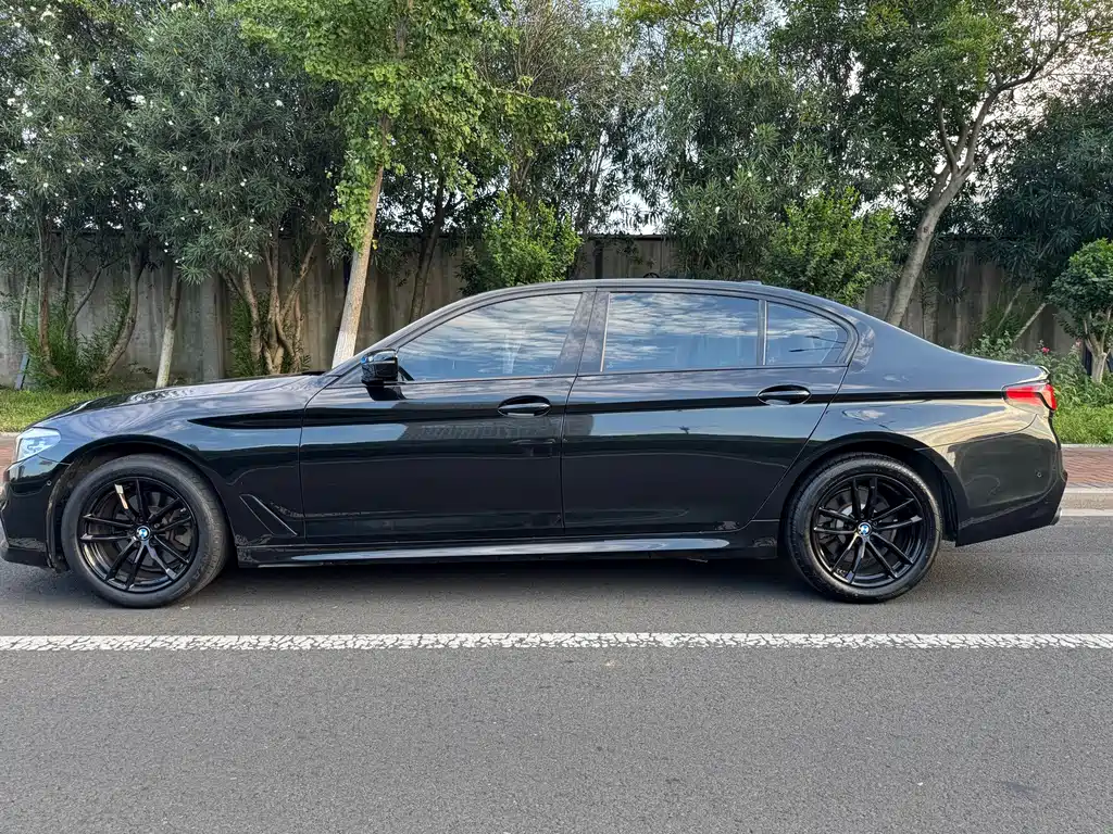 BMW 5 Series 2019