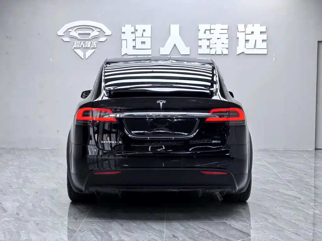 Tesla Model X 2017 — фото 15