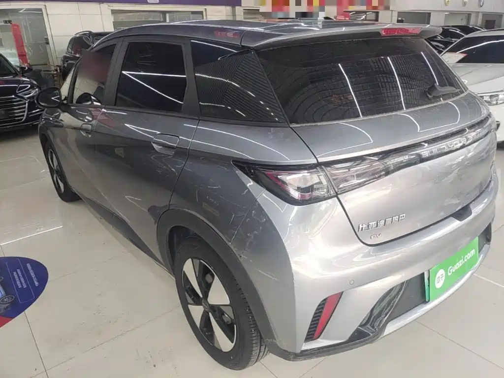 BYD Dolphin 2024