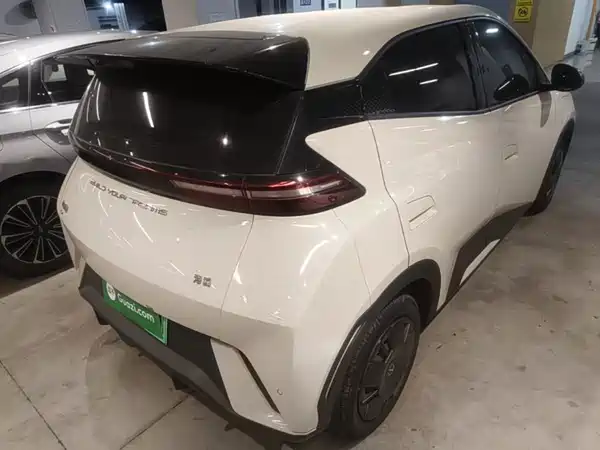 BYD Seagull 2024