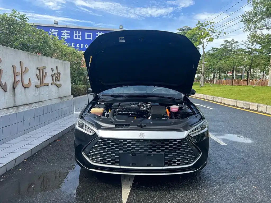BYD Qin PLUS 2023 — фото 13