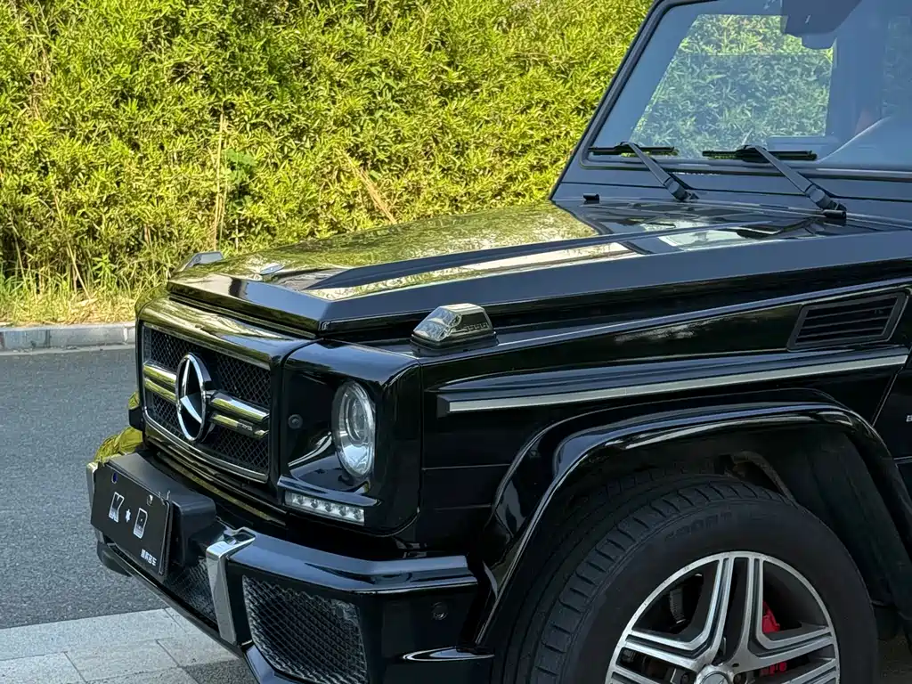 Mercedes-Benz G-Class AMG 2014 — фото 14