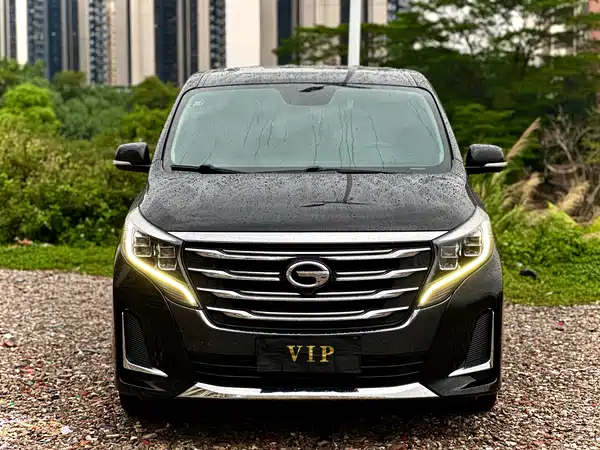 GAC Trumpchi M8 2020