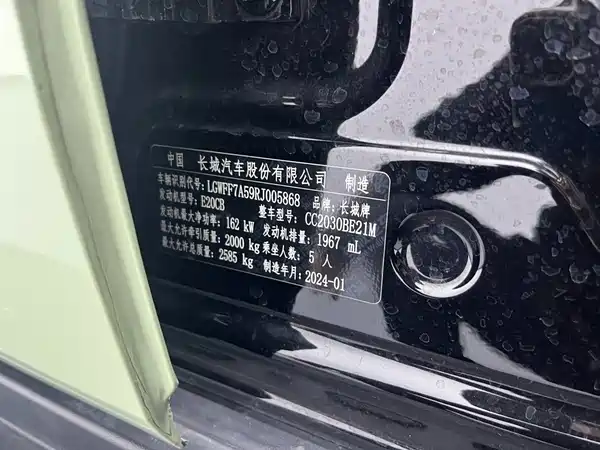 Tank 300 2024